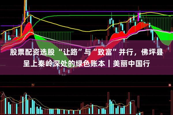股票配资选股 “让路”与“致富”并行，佛坪县呈上秦岭深处的绿色账本｜美丽中国行